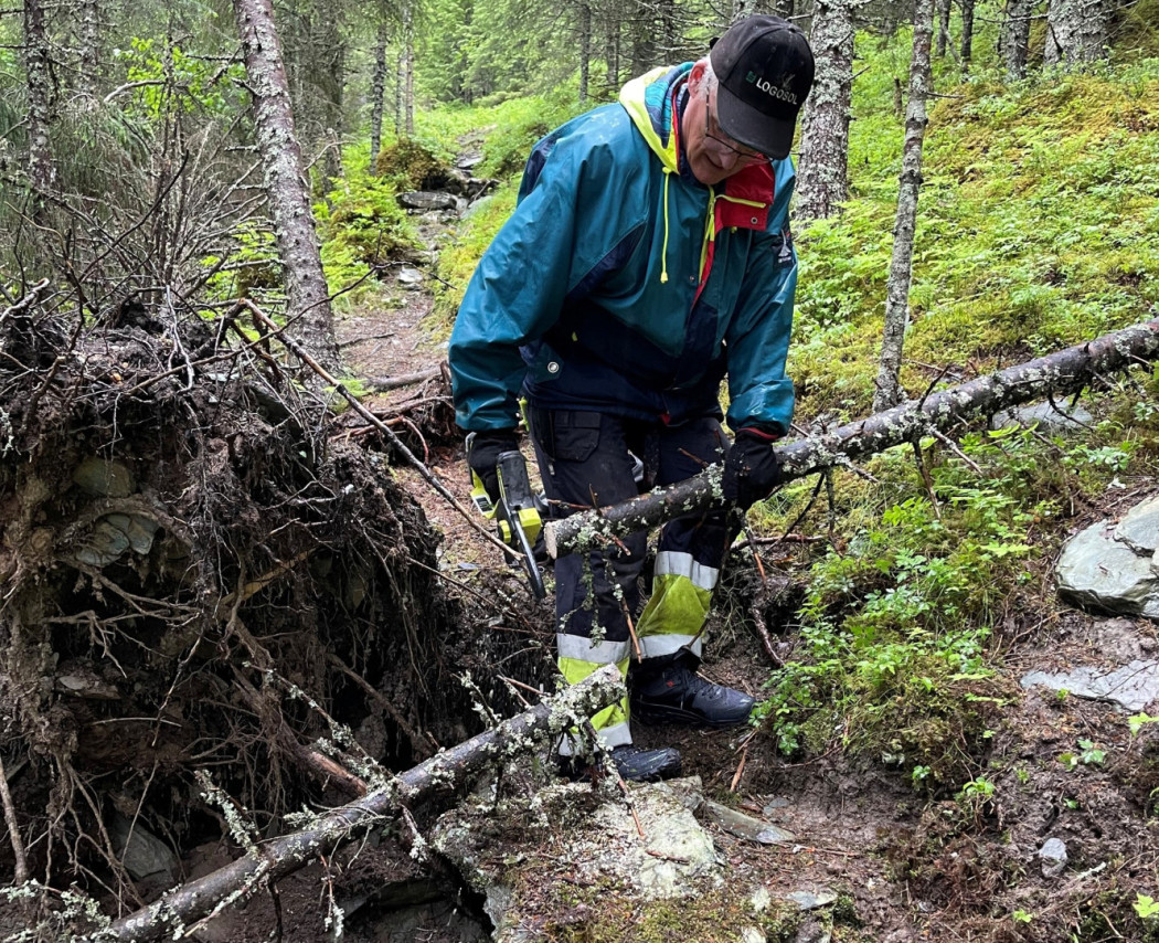 Dugnad, rydding av pilgrimsleden 2026-06-10